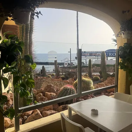 Americas And Nightlife