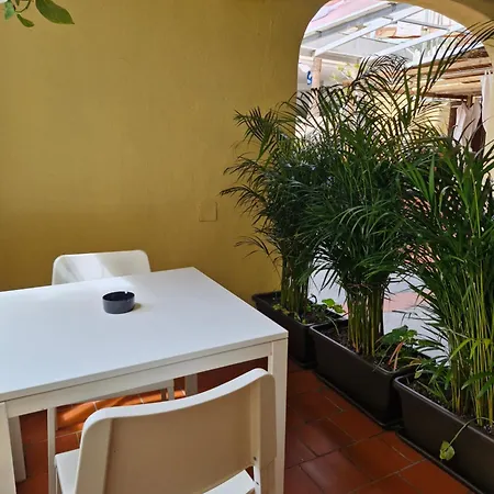 Americas And Nightlife